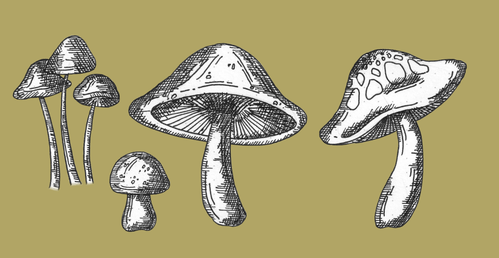 Download These 4 Free Adorable Vintage Mushroom Illustrations For Your DIY Creative Design Projects